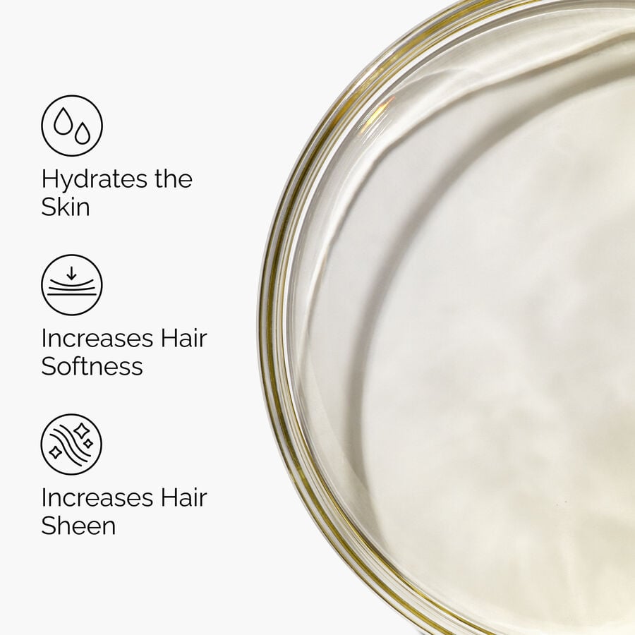 100-organic-cold-pressed-moroccan-argan-oil-w1 FY25-D41247-ORD-Web-PDP-100-Argan-Oil-1x1-EN-3.jpg