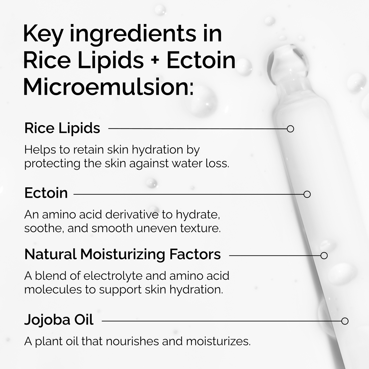 rice-lipids-ectoin-microemulsion-t3 ord-rice-lipids-ectoin-microemulsion-key-ingredients.png