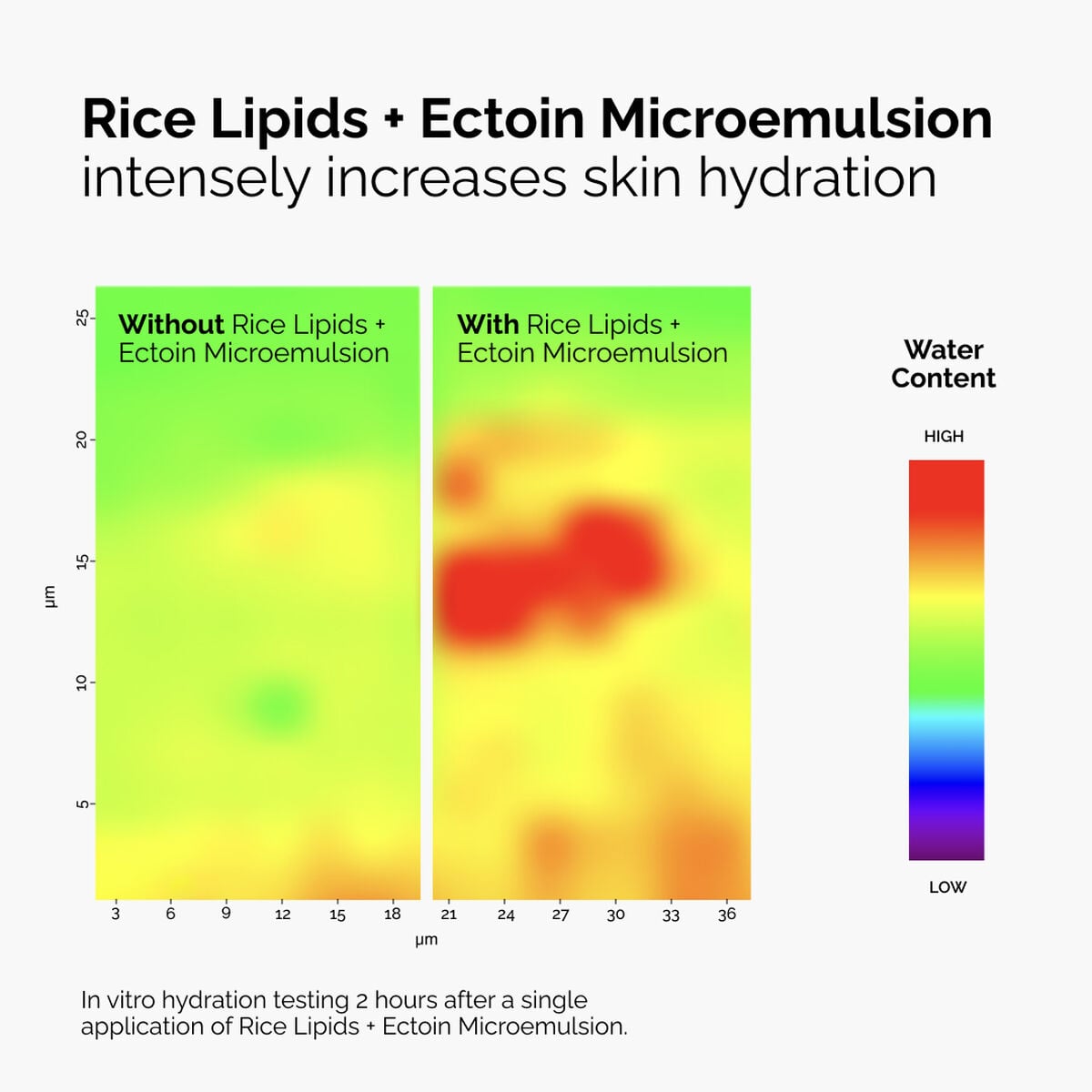 rice-lipids-ectoin-microemulsion-t3 ord-rice-lipids-ectoin-microemulsion-thermal-before-after.jpg